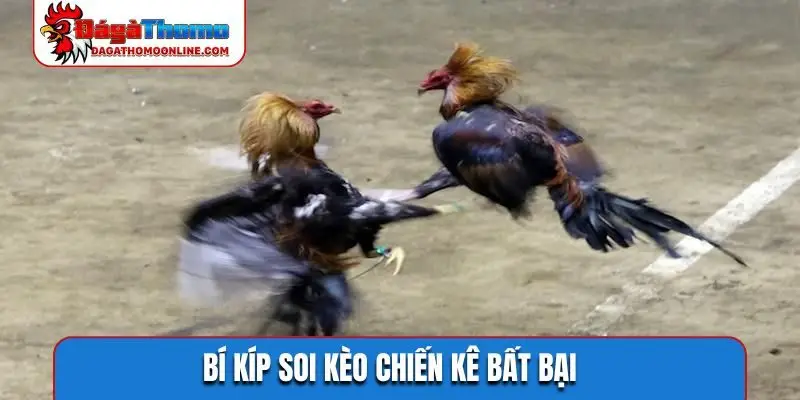 Bí kíp soi kèo chiến kê bất bại