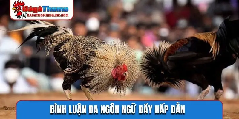 Bình luận đa ngôn ngữ đầy hấp dẫn
