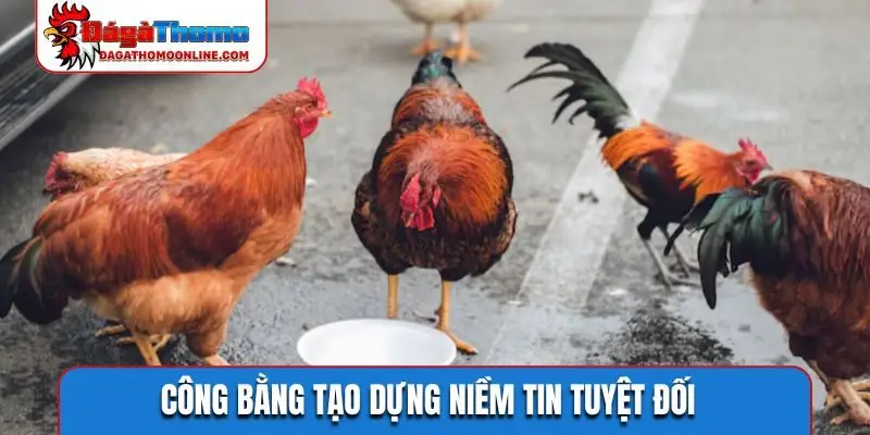 Công bằng tạo dựng niềm tin tuyệt đối