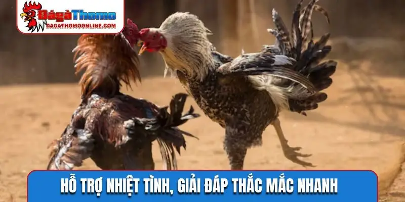 Hỗ trợ nhiệt tình, giải đáp thắc mắc nhanh