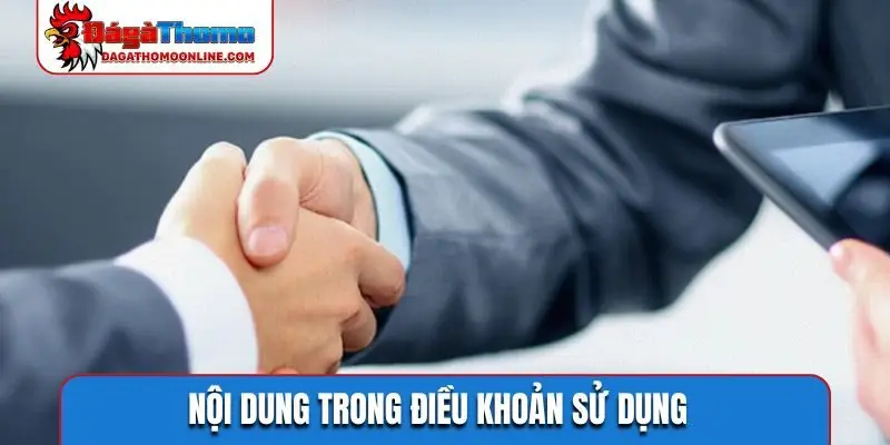 Nội dung trong điều khoản sử dụng