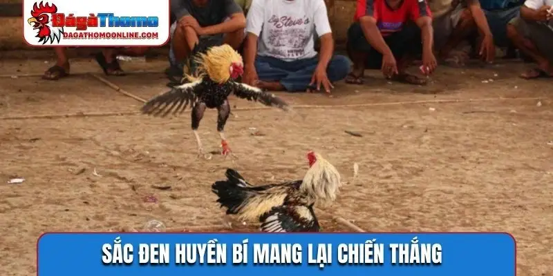 Sắc đen huyền bí mang lại chiến thắng