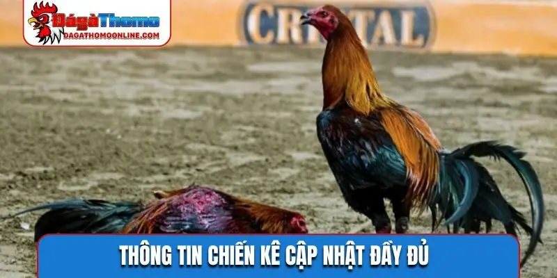 Thông tin chiến kê cập nhật đầy đủ