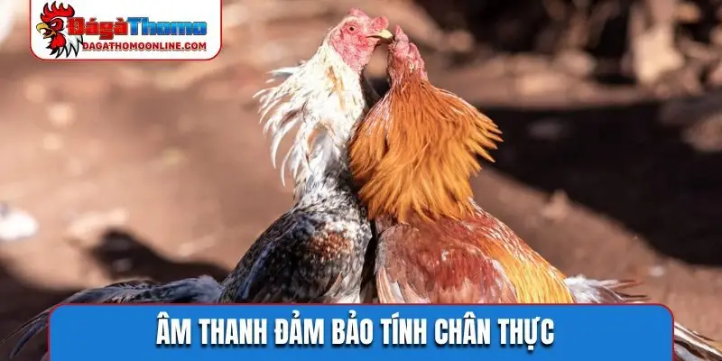 Âm thanh đảm bảo tính chân thực