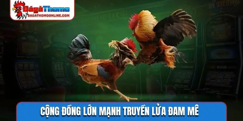 Cộng đồng lớn mạnh truyền lửa đam mê