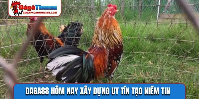 Daga88 hôm nay xây dựng uy tín tạo niềm tin