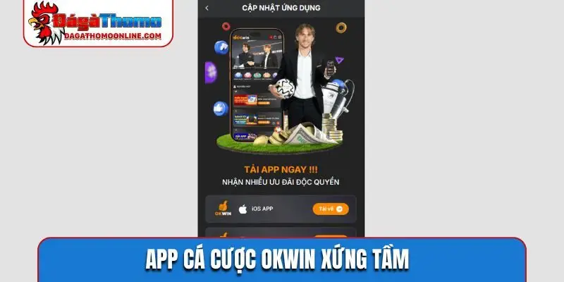 App cá cược OKWIN xứng tầm
