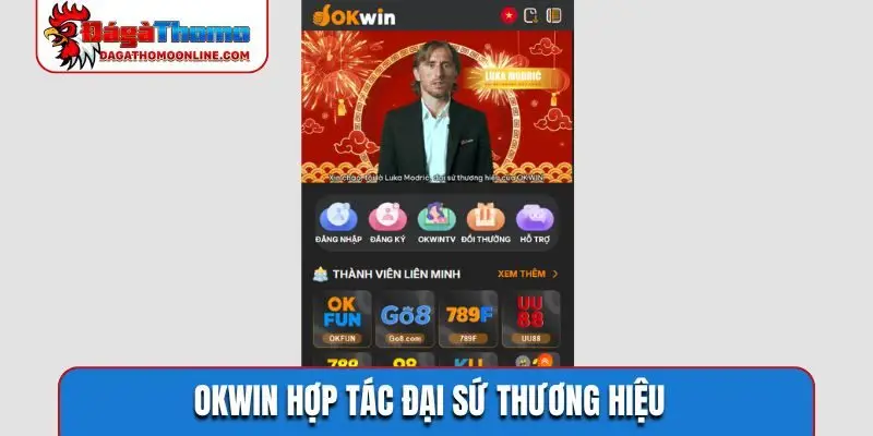 OKWIN hợp tác đại sứ thương hiệu